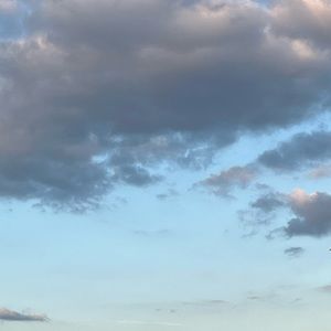 Meet your Posher, Ace